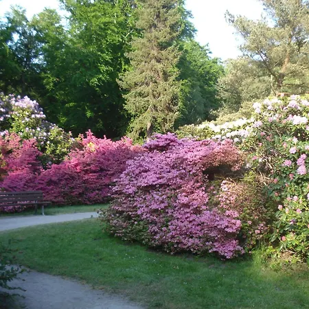 Daire Am Wasserturm - Eg - 2 Schlafzimmer *