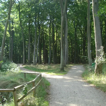 Am Wasserturm - Eg - 2 Schlafzimmer Daire Graal-Mueritz